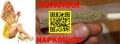шишки Шебекино