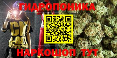 шишки Шебекино